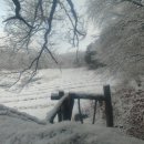 화천농장 이미지