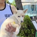 루키목장 이미지