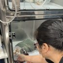 중산동물병원 이미지