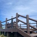 독도회식당 이미지