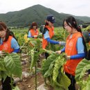 상상유통 이미지