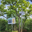 ⛰️ 6월23일 월요일 정기🔮제279차 강원도 홍천 가리산 산행🤗💘(블랙야크,산림청.한국의산하,월간산100대명산)💯👍 이미지