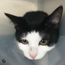 가인동물병원 이미지