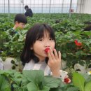 용인대 효 태권도장 이미지