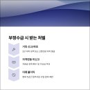 정부지원금 실수 사례부터 부정수급 처벌까지: 탈락 원인과 자진환수, 세금 신고 및 횡령 대처방법 완전...