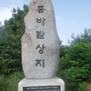 새누리방죽 Daum카페