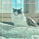 후미후미 이미지