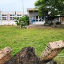 녹남초등학교 이미지