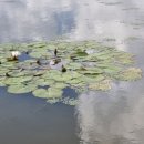 연천배수펌프장 이미지