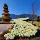 낙동강변20 이미지