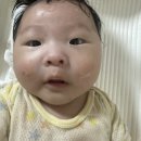 (주)다안 네이버블로그