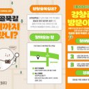 목골목