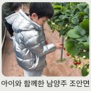 샘물 | 아이와 함께 남양주 여행 ♥ 남양주 조안 가볼만한곳 기와집순두부 샘물딸기농장 후기