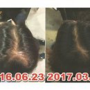 춘천미용상사 이미지