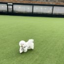 레인바우 이미지