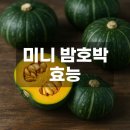 미니 밤호박 효능 이미지