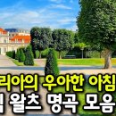 요한 슈트라우스 스타일 명곡 BGM 이미지