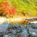 JIRI VALLEY 이미지