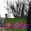 가나푸드