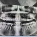 연세백세치과의원 이미지