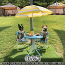 하대동417 | 댕냥이들의 천국 ♥ 진주 애견 카페 &amp; 고양이 카페 모음