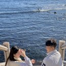 보목동포구카페