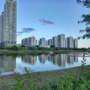 코로나 이후의 변화된 세상 이미지