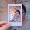 오롯이;독 이미지