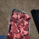 멍멍이네 이미지