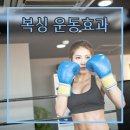 H3복싱체육관 | 복싱 다이어트란?