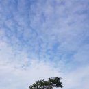 동내마을 이미지