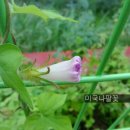 와석초등학교 이미지