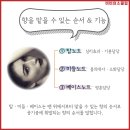 비비테라피 이미지