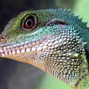 동로치안센터 이미지