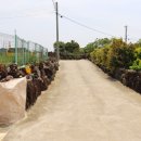 무릉다락방 이미지