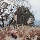 금강1농장 이미지