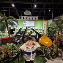 여주곤충박물관 | 여주아이랑가볼만한곳 여주곤충박물관 다녀온 후기