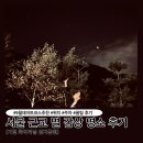 쌈지 | 서울 근교 별 구경 명소 가평 화악터널 쌈지공원 후기