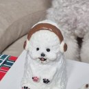 멍냥제과 이미지