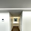 강서구-39 이미지