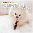 푸치푸치 | 강아지 오래먹는간식 추천｜인천 푸치푸치 비프 덴탈츄 급여 후기