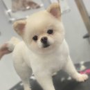 고방동물병원 이미지