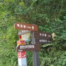 용문산 자연휴양림~백운봉~사나사계곡 (독고다이 산행) 이미지