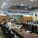 금산