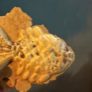 역전게임랜드 이미지