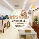 부산 아이와 가볼만 한 곳, 달콤한 나무늘보 부산무인키즈룸 다녀온 후기