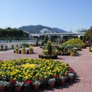 향기있는풍경 이미지