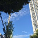 벽산홈마트 이미지