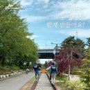 (주)디에스엠알오 카페담 철길점 | 포항 철길숲을 깨끗하게! - (주)디에스엠알오