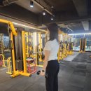 패러다임짐 | 덤벨 해머컬 효과 제대로 느낀 후기! 패러다임짐 칠곡동천점에서 배운 팔운동 루틴